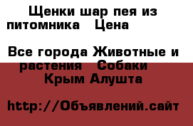 Щенки шар-пея из питомника › Цена ­ 15 000 - Все города Животные и растения » Собаки   . Крым,Алушта